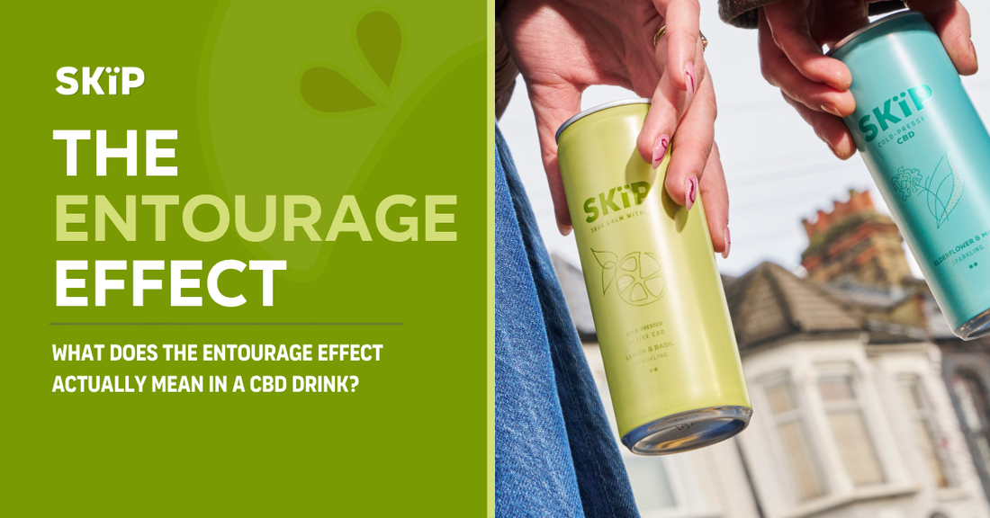 SKÏP entourage effect graphic showing cold-pressed CBD drink cans in Lemon & Basil and Elderflower & Mint flavours.