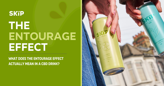 SKÏP entourage effect graphic showing cold-pressed CBD drink cans in Lemon & Basil and Elderflower & Mint flavours.