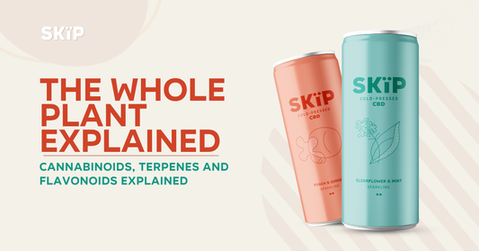 SKÏP blog graphic explaining the whole plant, featuring Peach & Ginger and Elderflower & Mint cold-pressed CBD drink cans.